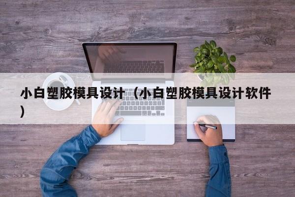 小白塑胶模具设计（小白塑胶模具设计软件 ）
