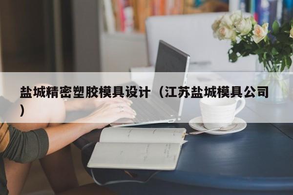 盐城精密塑胶模具设计（江苏盐城模具公司 ）
