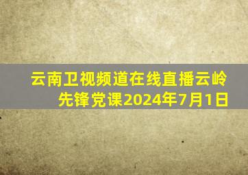 云南卫视频道在线直播云岭先锋党课2024年7月1日